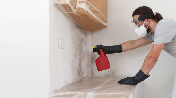 Professional Mold Remediation technician working in Long Branch, VA
