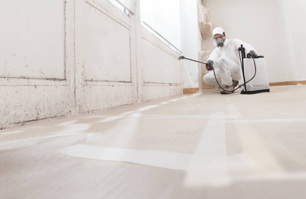 24/7 Emergency Mold Remediation experts in Long Branch, VA