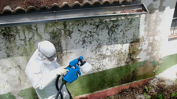 Top rated local Mold Remediation specialists in Long Branch, VA